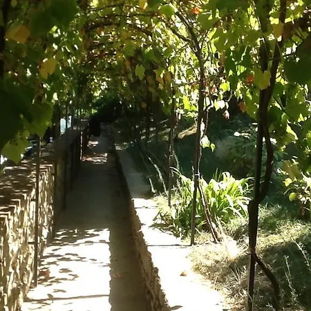 Garden דירה גרבה אין קיאנטי